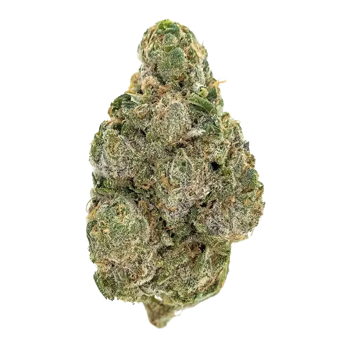 Dulce De Papaya by Nine Weeks Harvest, Photoperiod cannabis strain