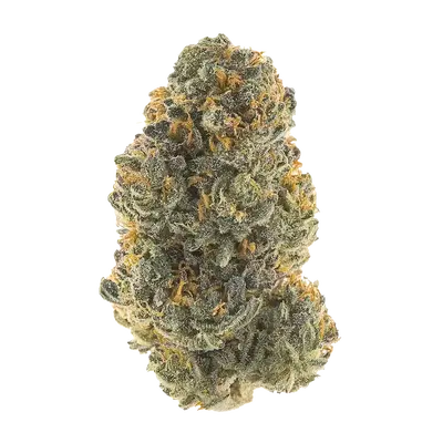 East Coast Irene by High Grade Selections cannabis strain