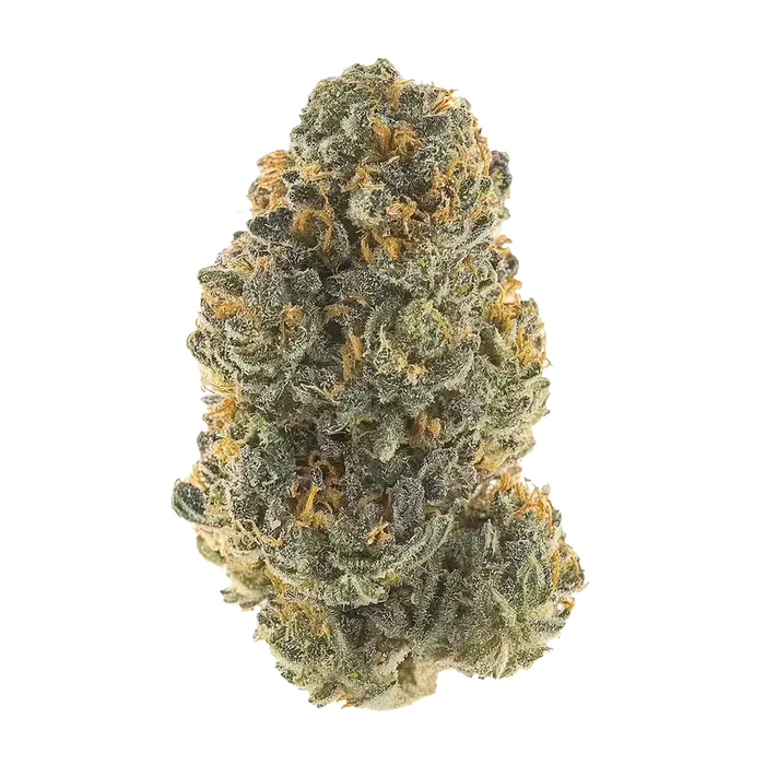 East Coast Irene by High Grade Selections cannabis strain