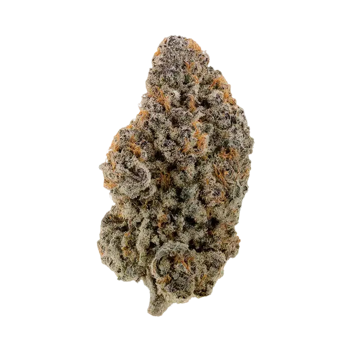 Electric Tsunami by Blockhead Buds cannabis strain
