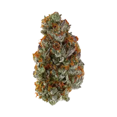 Elektra Ice by Oregon Cbd cannabis strain