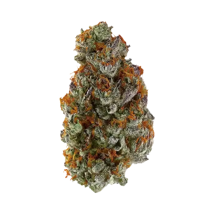 Elektra Ice by Oregon Cbd cannabis strain