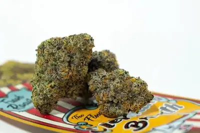 Elephant Breath by The Flower District cannabis strain