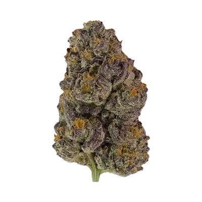 End Game by La Family Farms cannabis strain
