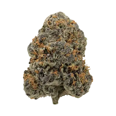Ezpionage by Burning Rope Pharms cannabis strain