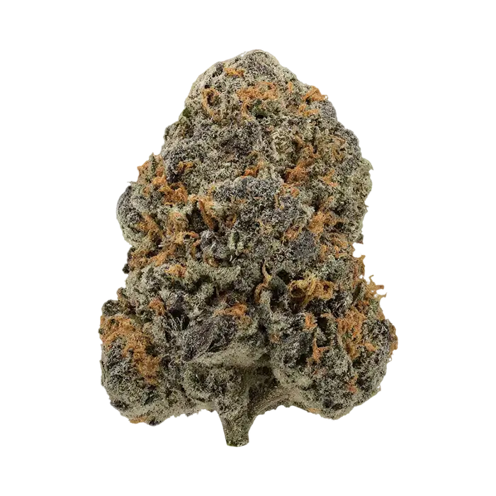 Ezpionage by Burning Rope Pharms cannabis strain