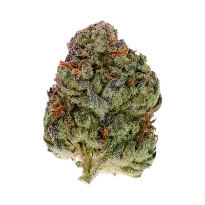 Fermented Fruitz by Burning Rope Pharms cannabis strain