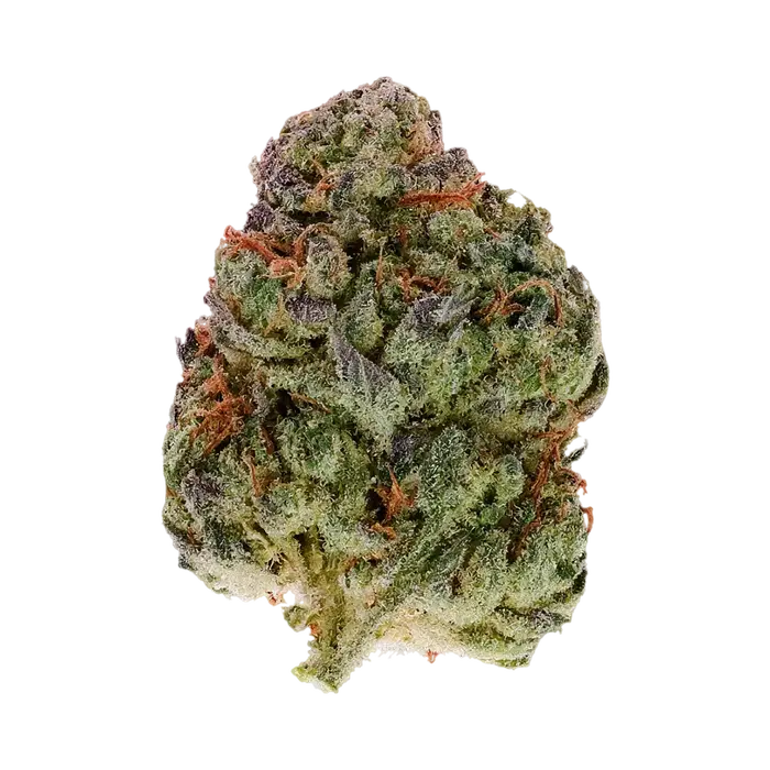 Fermented Fruitz by Burning Rope Pharms cannabis strain