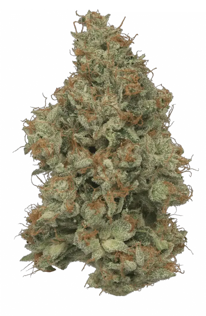 Fire Cake by Mosca Seeds cannabis strain