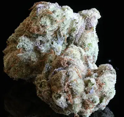 Flo White by Glass House Farms cannabis strain