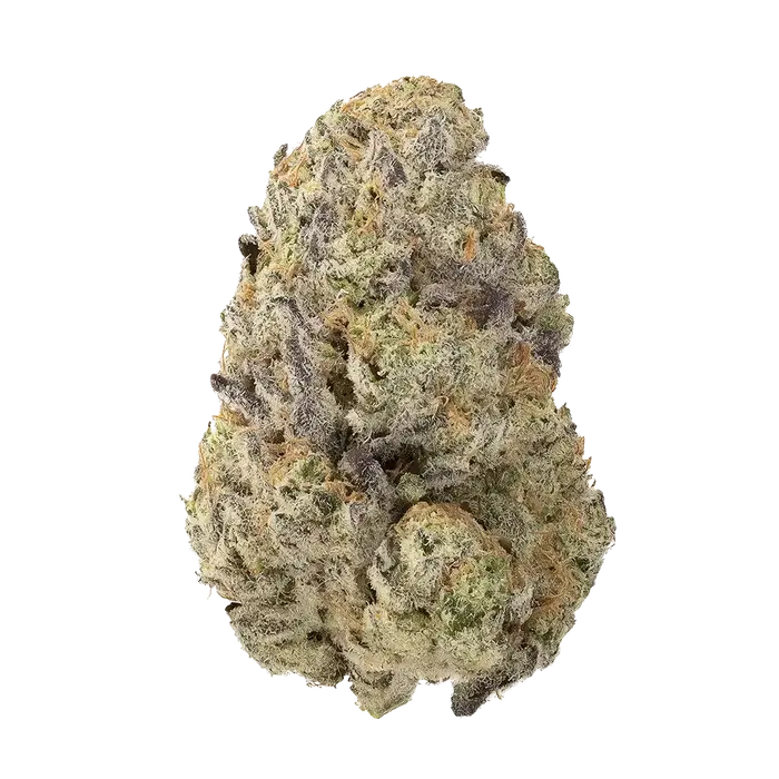 Freeze Cup by Team Elite Genetics cannabis strain
