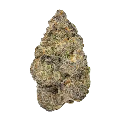 Fuel Pump by High Grade Selections cannabis strain
