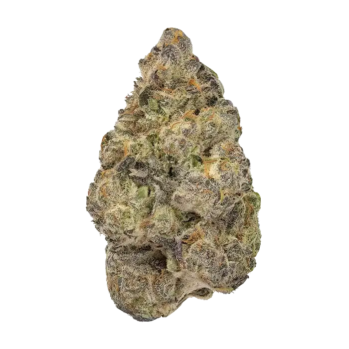 Fuel Pump by High Grade Selections cannabis strain