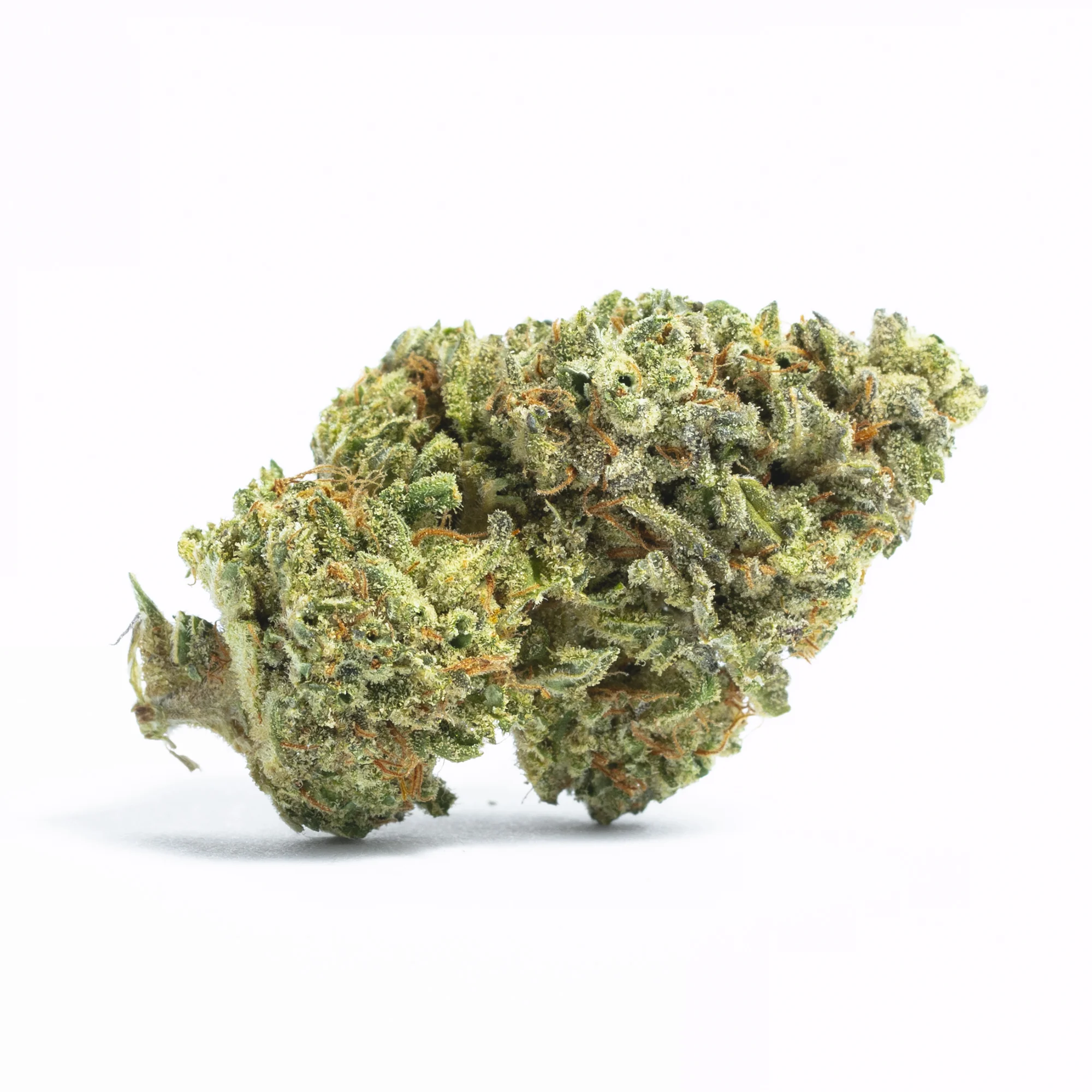 1969 by LIT Farms, Photoperiod cannabis strain