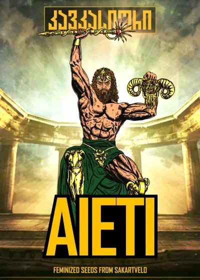 Aieti Auto by Caucasian Seeds, Autoflower cannabis strain