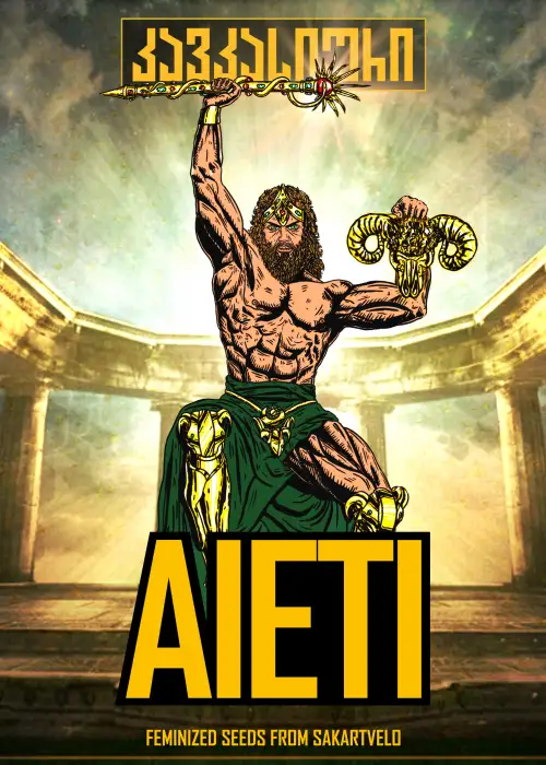 Aieti Fem by Caucasian Seeds, Photoperiod cannabis strain