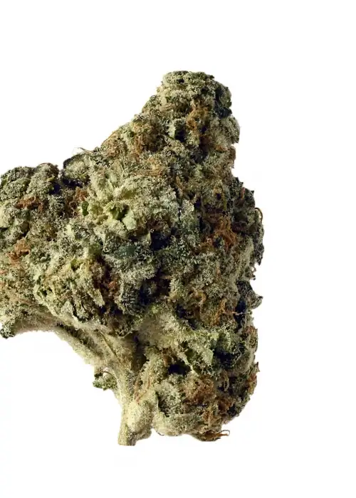 AK Choco Kush by Amsterdam Genetics, Photoperiod cannabis strain