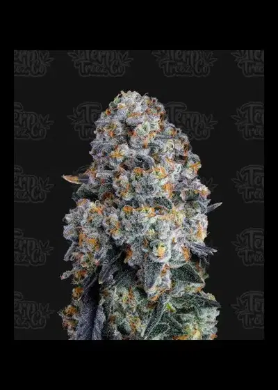 Alien DounutZ by Terp Treez Co., Photoperiod cannabis strain