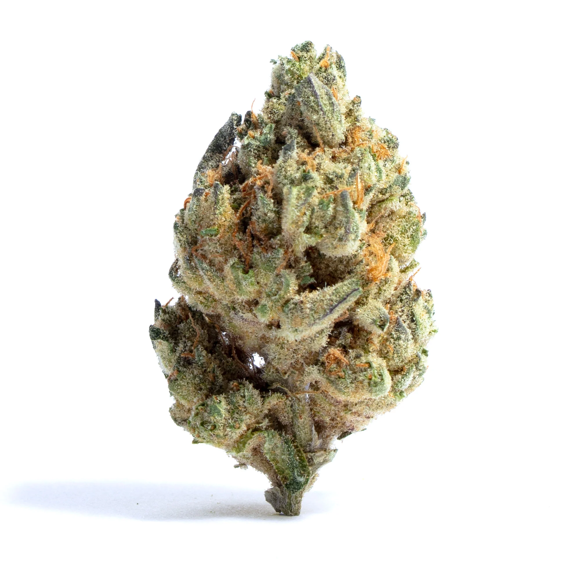 Alpine Blue by Growers Lab, Photoperiod cannabis strain