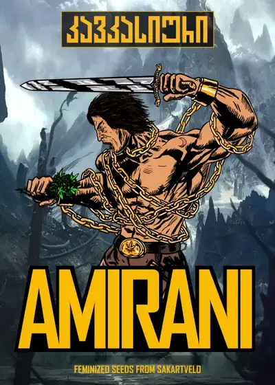 Amirani Fem by Caucasian Seeds, Photoperiod cannabis strain