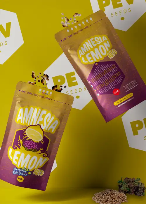 Amnesia Lemon Auto by Pev Seeds, Autoflower cannabis strain