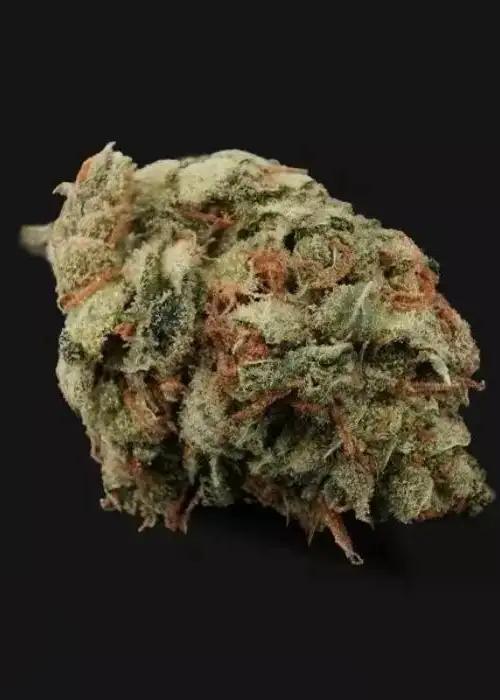 Apple&Bazookiez by GB Strains, Photoperiod cannabis strain