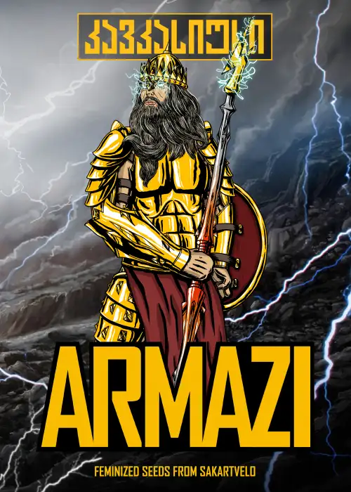 Armazi Auto by Caucasian Seeds, Autoflower cannabis strain
