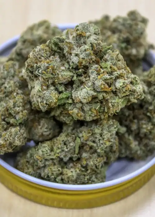 Banana Blast by Surfr Seeds, Photoperiod cannabis strain