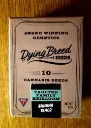Banana Ringz by Dying Breed Seeds, Photoperiod cannabis strain