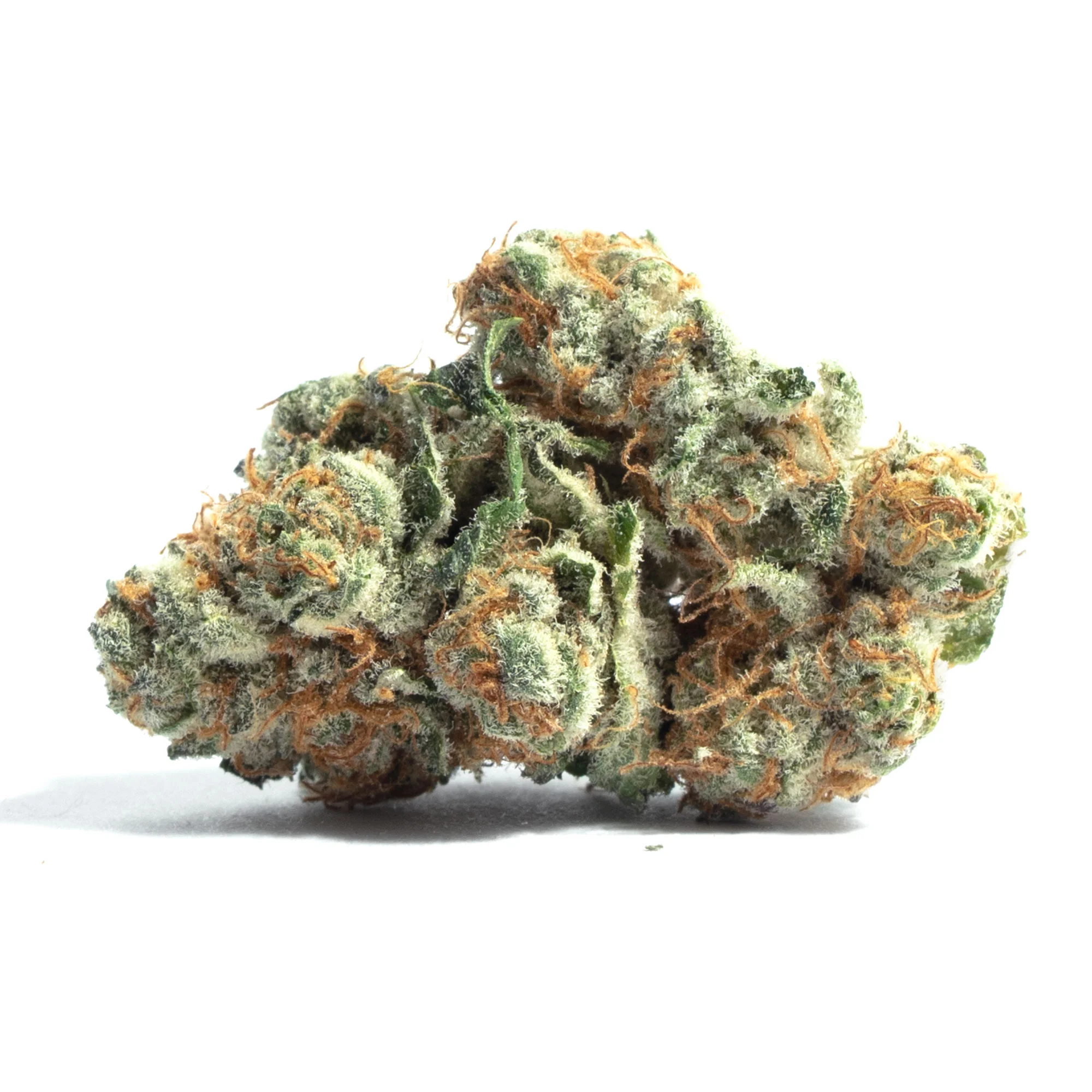 Bell Ringer by Khush Kush, Photoperiod cannabis strain