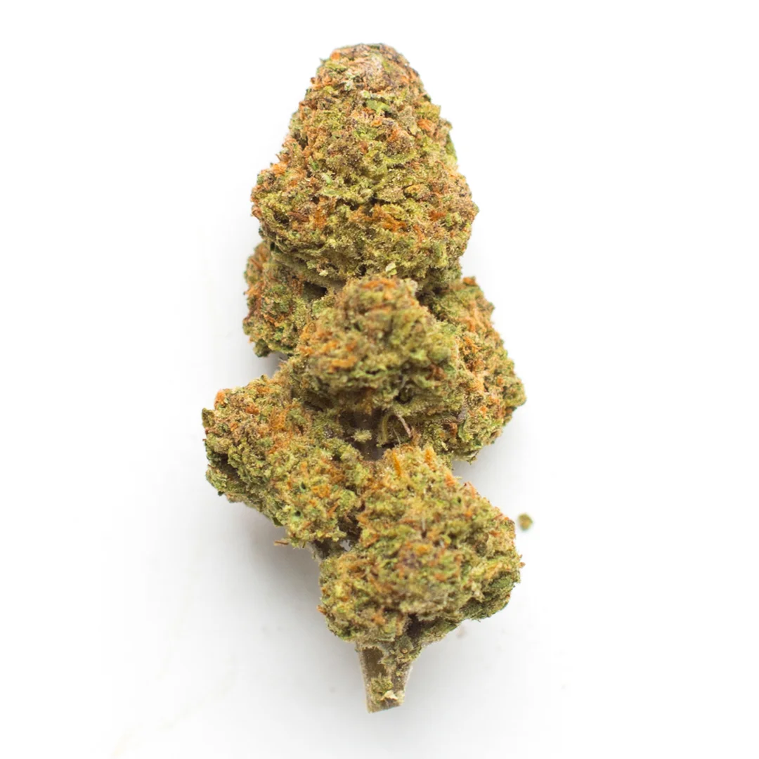 Berry Bliss by Sundial Cannabis, Photoperiod cannabis strain