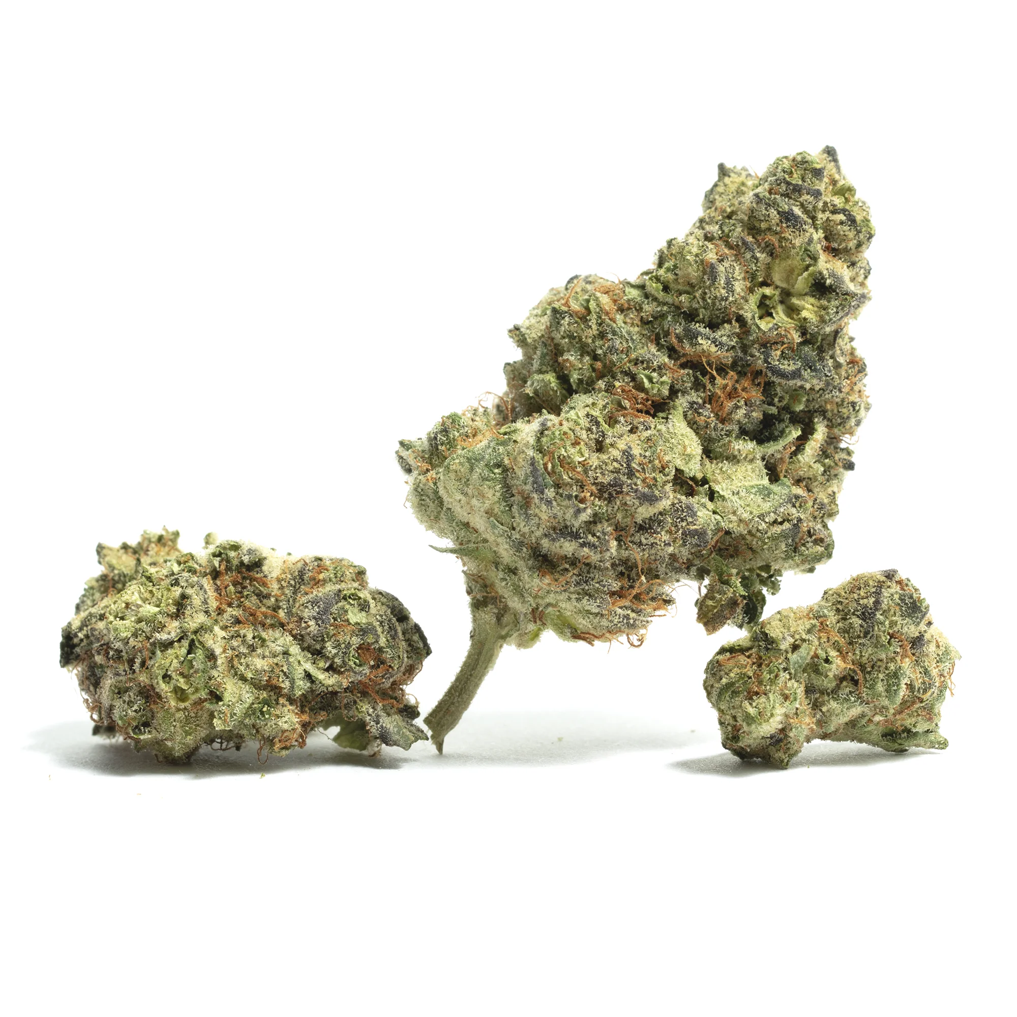 Berry Cream Puff by Pure Sunfarms, Photoperiod cannabis strain