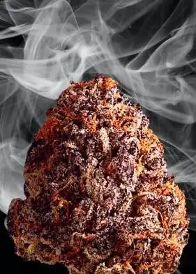 Black Cherry Moonrocks by Discreet Seeds, Photoperiod cannabis strain