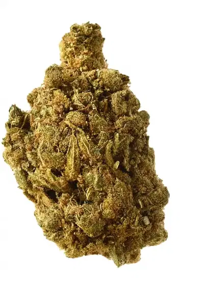 Blue Amnesia Autoflower by Amsterdam Genetics, Autoflower cannabis strain