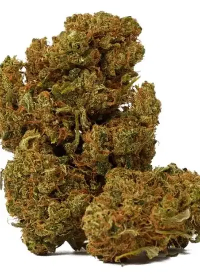 Blueberry Gelato Auto by Discreet Seeds, Autoflower cannabis strain