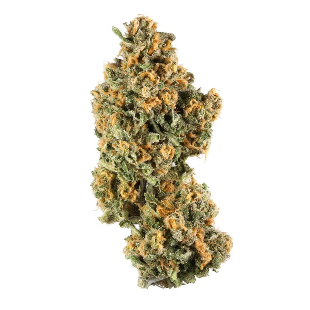 Blueberry Lemonade by Sure Fire Selections, Photoperiod cannabis strain