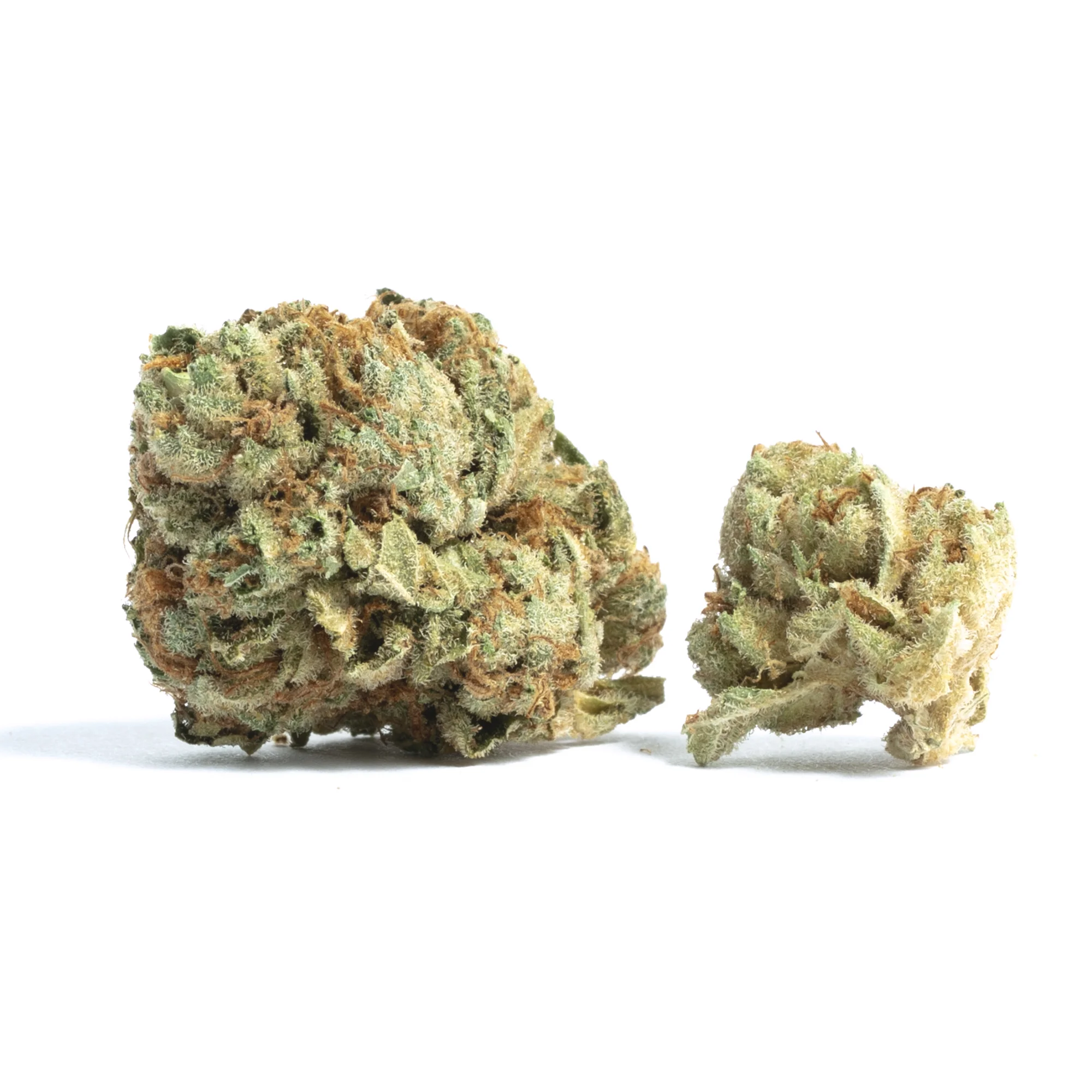 Bubblegum Cookies by Riot Seeds, Photoperiod cannabis strain