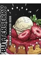 Butterberry by Doja Seeds, Photoperiod cannabis strain