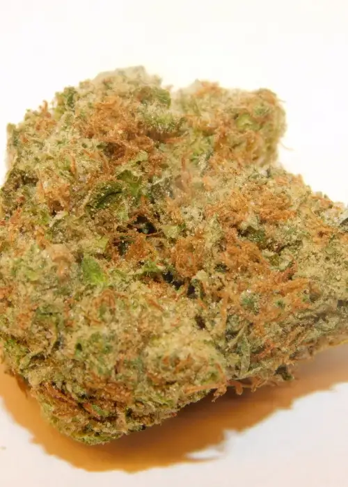 Cali Cherry Pie by BSB Genetics, Photoperiod cannabis strain
