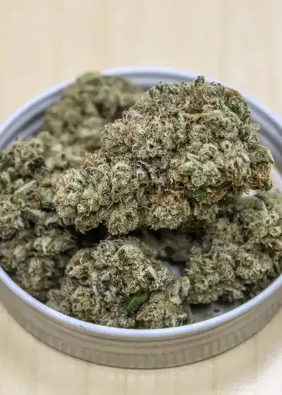 Cherry Cookies x Grandpa's Gunchest by Surfr Seeds, Photoperiod cannabis strain