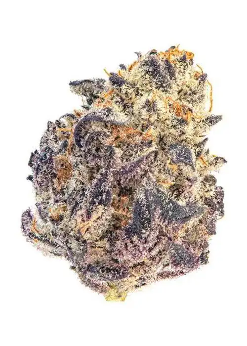 Cherry Mac Muffin by Growers Choice Seeds, Photoperiod cannabis strain