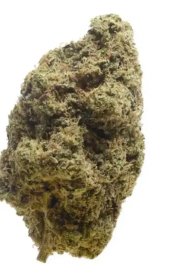 Choco Cheesecake by Amsterdam Genetics, Photoperiod cannabis strain