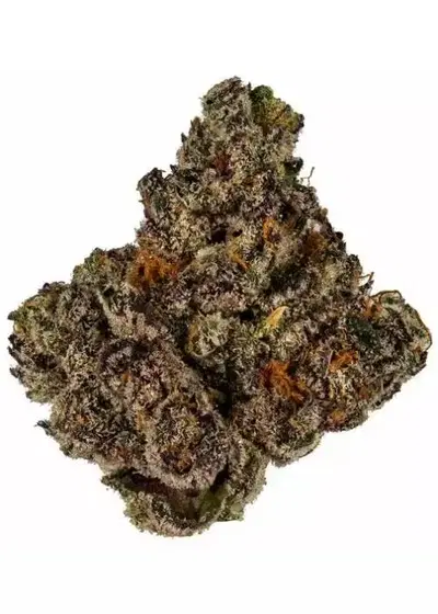 Cookie Face by Rocket Seeds, Photoperiod cannabis strain