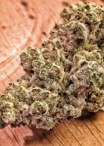 Cookies & Cream by Exotic Genetix, Photoperiod cannabis strain