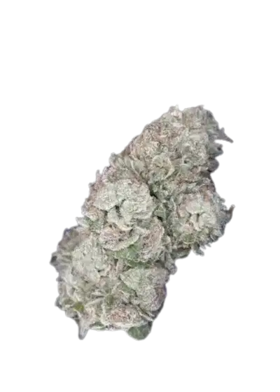 Da Vinci by UKHTA Genetics, Photoperiod cannabis strain