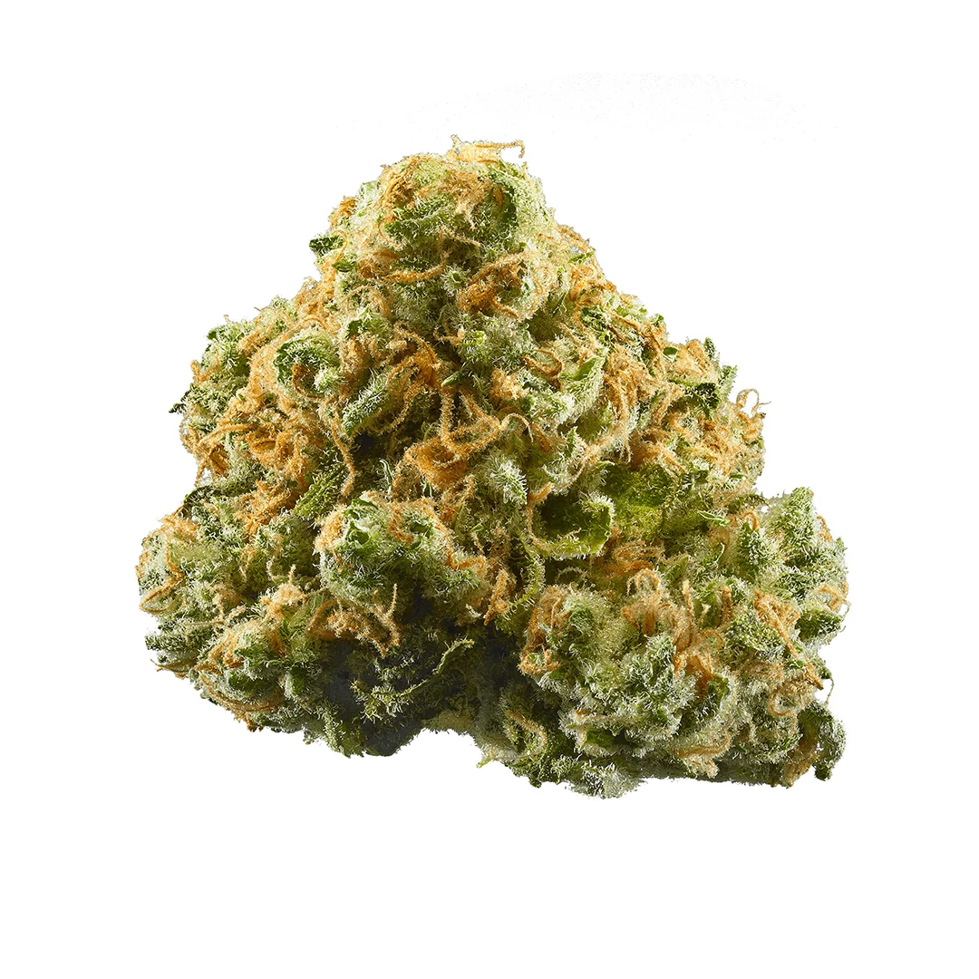 Double Diesel by Southern Humboldt Seed Collective, Photoperiod cannabis strain