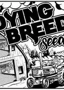 GAK Melon by Dying Breed Seeds, Photoperiod cannabis strain