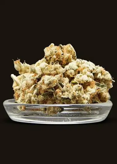 Gas Cake by Jungle Boys, Photoperiod cannabis strain