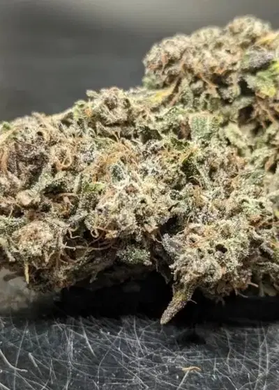 Gravely Ghost by Crossbone Genetics, Autoflower cannabis strain