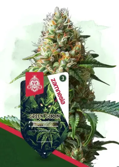 Green Goblin cannabis strain